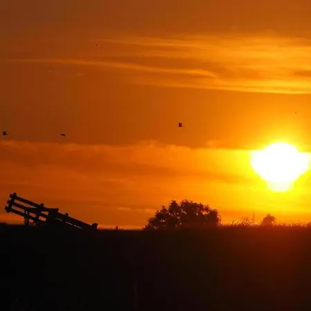 Casa vacanze Sun-soaked In Simonshaven