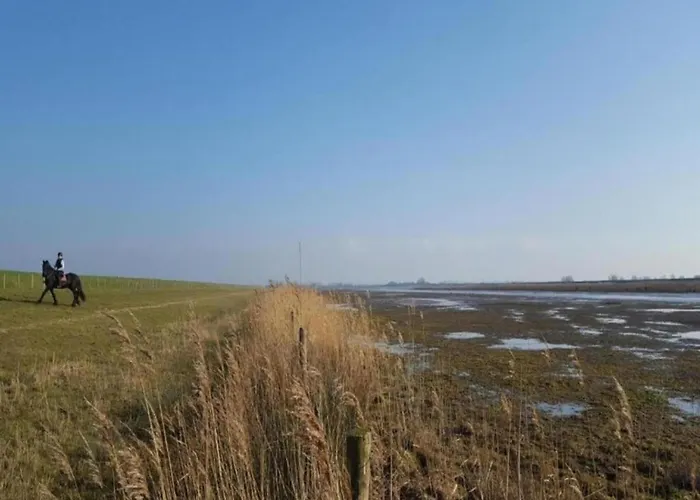 Sun-soaked In Сasa de vacaciones Simonshaven