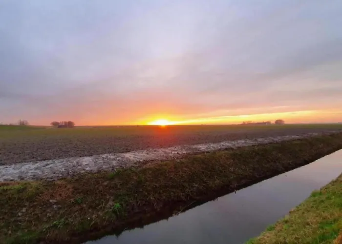 Sun-soaked In * Simonshaven