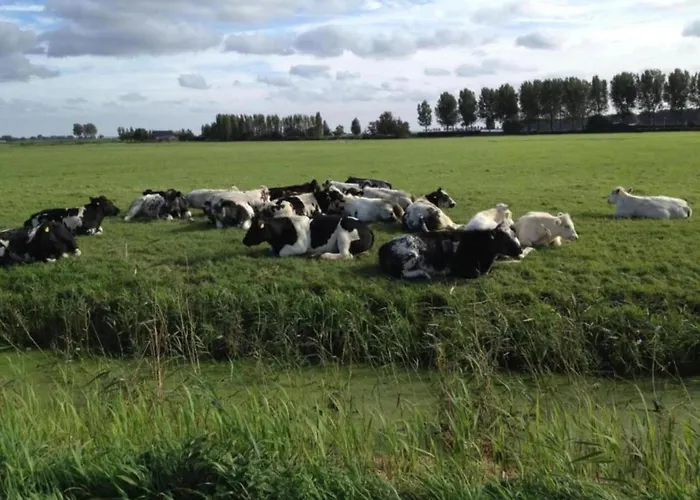 Sun-soaked In Сasa de vacaciones