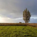 Sun-soaked In * Simonshaven