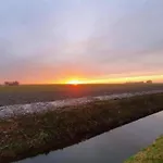 Sun-soaked In * Simonshaven