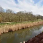 Sun-soaked In