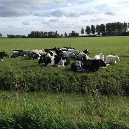 Sun-soaked In Casa vacanze