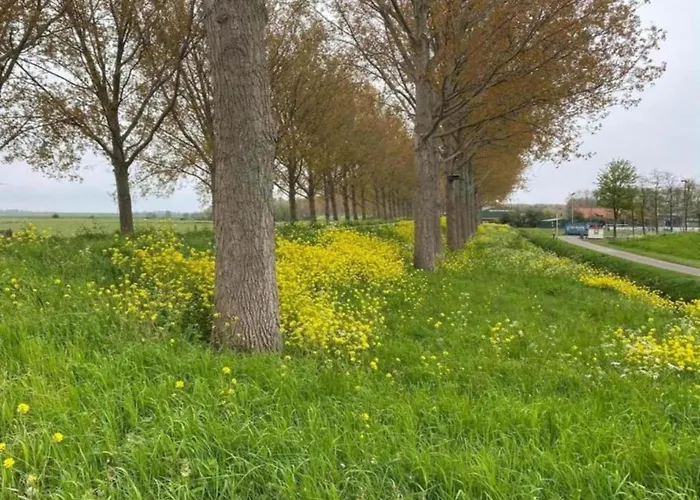Sun-soaked In Casa vacanze Simonshaven
